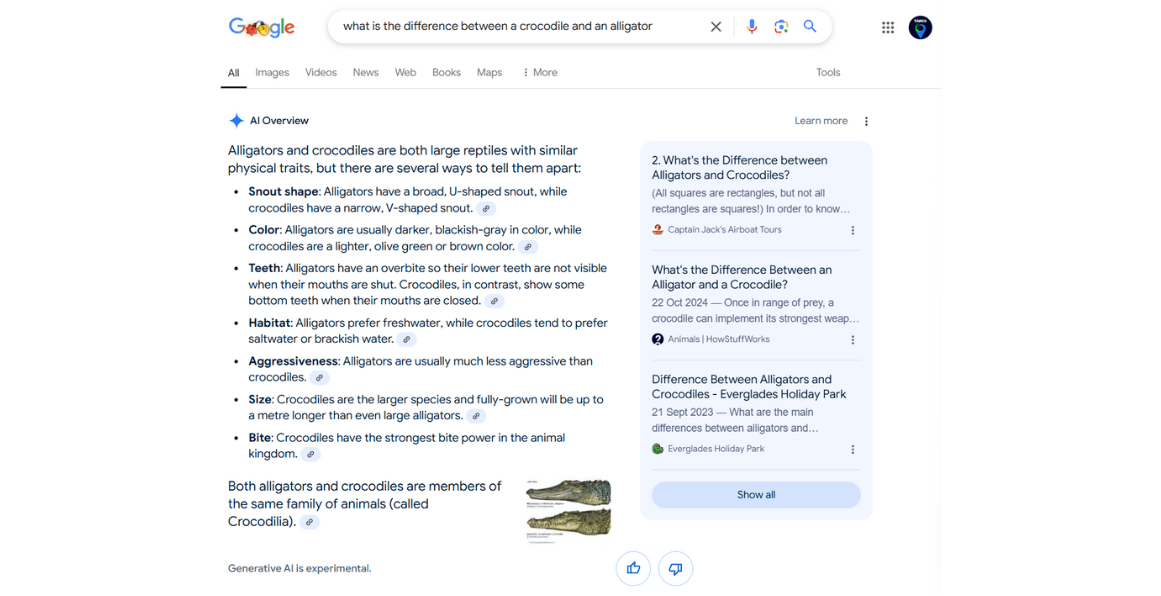 A screenshot taken from Google of the AI Overview users get once they search something up. In this screenshot, the question ''What is the difference between a crocodile and an alligator?'' was searched up. Below is the AI overview list discussing the main difference between the animals such as snout shape, size, bite, and more. 