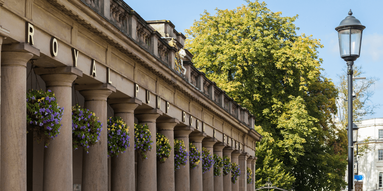 An image of Leamington Spa's Pump Rooms in the foreground, with purple and yellow flowers hanging down on the building, there is also a lamppost in the front and a tree in the background.